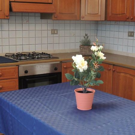A Casa Di Lucia Bed & Breakfast Pisa Exterior photo
